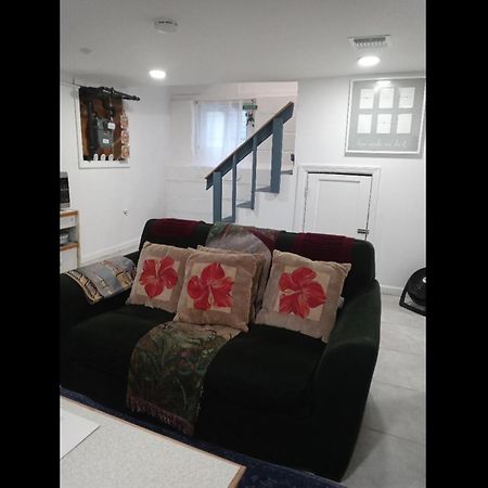 Appartement "Cozy Basement Retreat Just 40 Minutes To Nyc!" à Irvington Extérieur photo