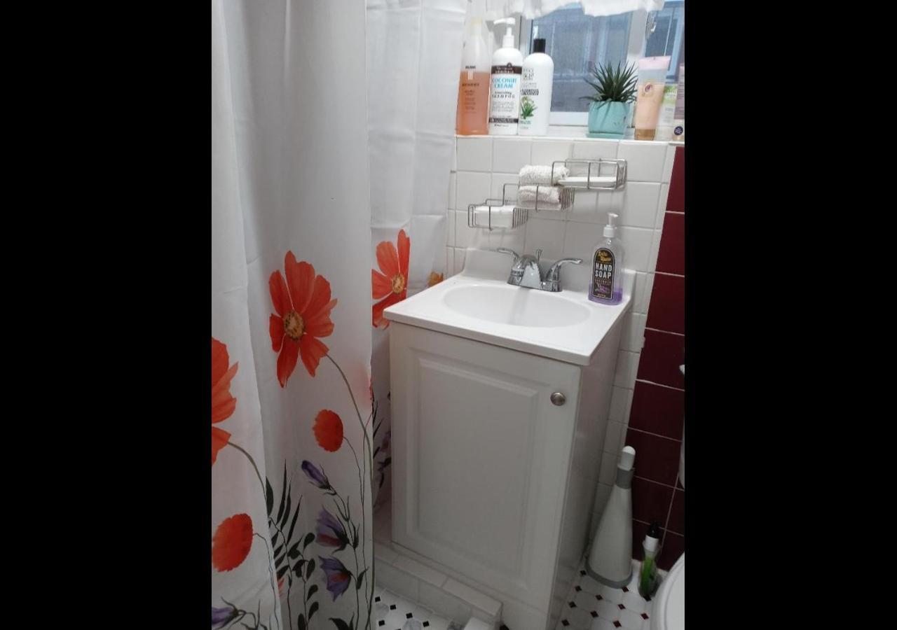 Appartement "Cozy Basement Retreat Just 40 Minutes To Nyc!" à Irvington Extérieur photo
